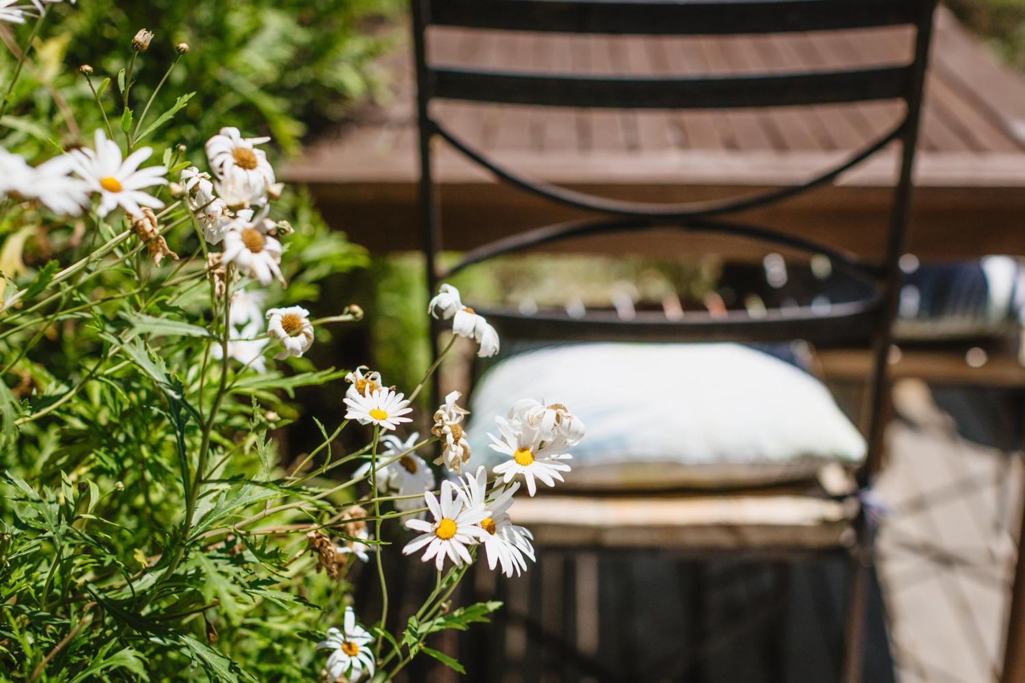Haumoana Herb Cottage エクステリア 写真